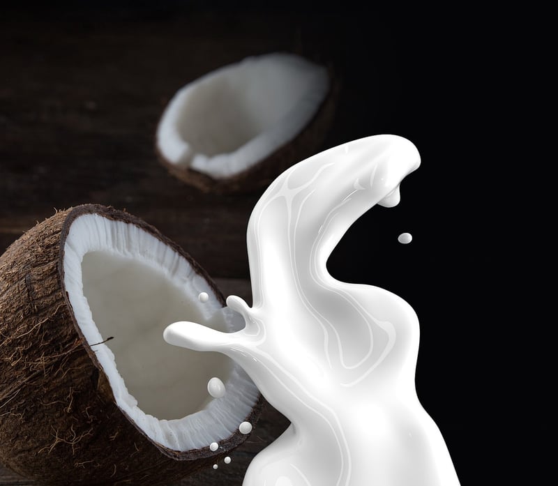 Vegan Alternatives