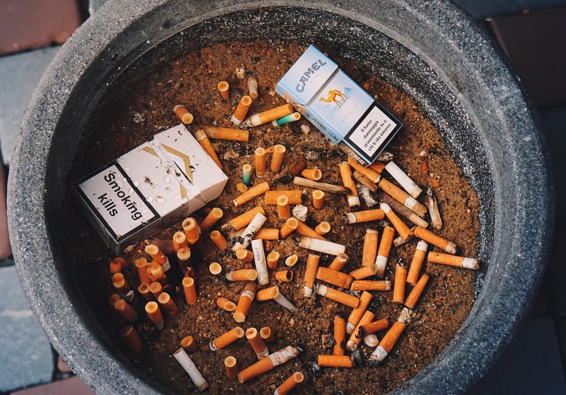 Electric Smoker
